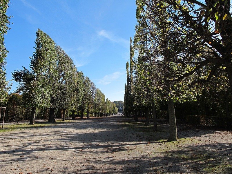 schönbrunn-palace-trimmed-trees-10