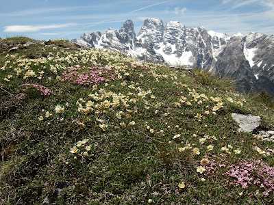 Photos of Monte Cristallo