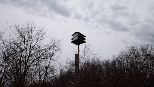 Nature Preserve «Knute Olson, Jr. Forest Preserve», reviews and photos, 12595 Base Line Rd, Kingston, IL 60145, USA