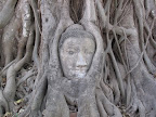 buddha im wat phra mahathat