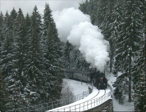 Photographic Train Trip in Winter (6).jpg