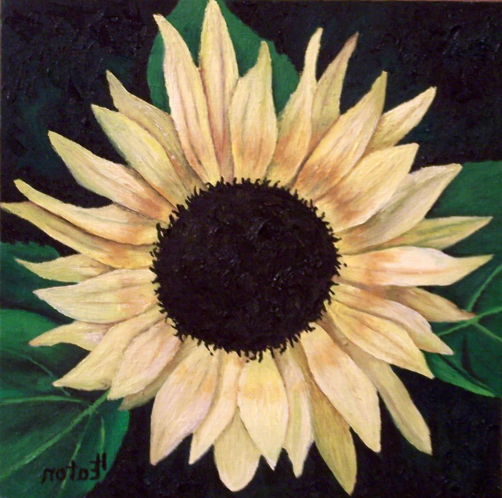 Light Yellow Sunflower