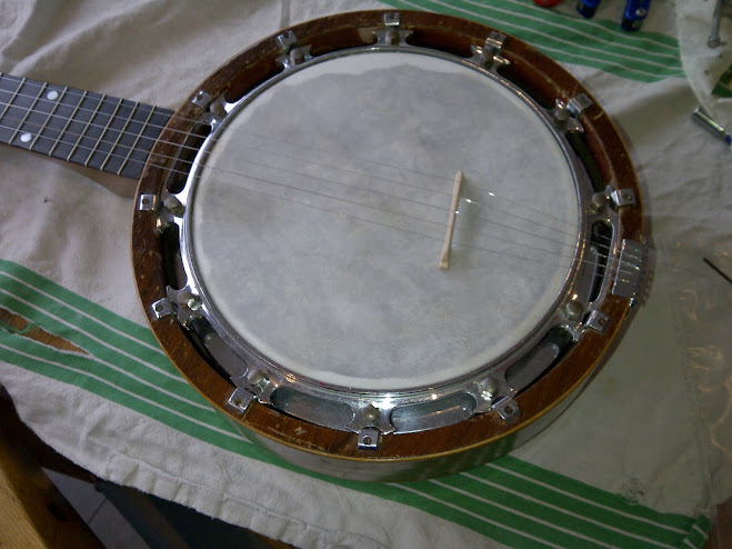 Zither banjo head