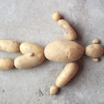 38 - Pommes de terre de mon jardin, que j'ai récoltées fin août (Val d'Ajol)