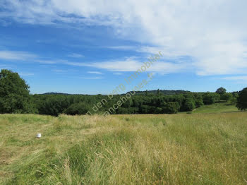 terrain à Juillac (19)