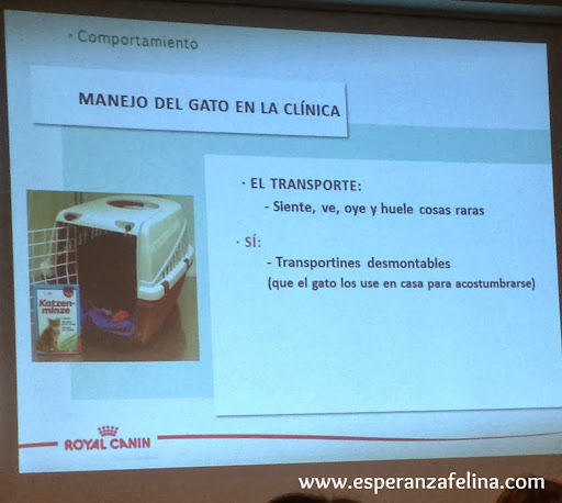 Esperanza Felina en la charla "Hablando de Gatos" de Royal Canin en Bilbao 058