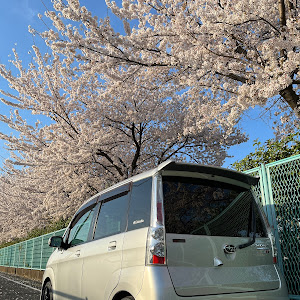 ステラ RN1