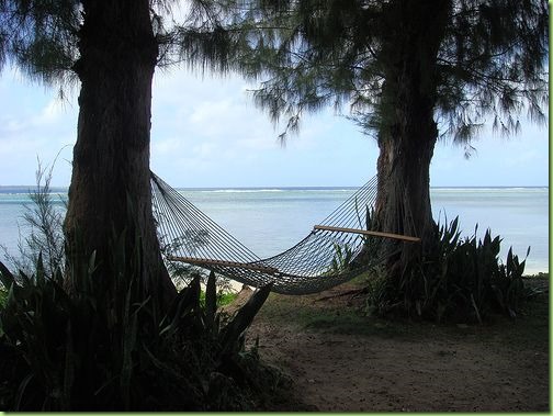 hammock on the beach