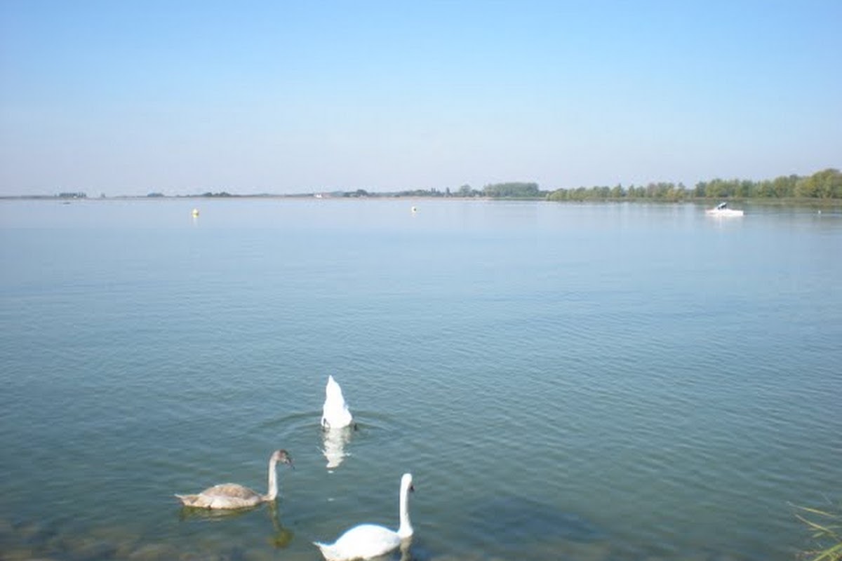 DSCN0706.JPG