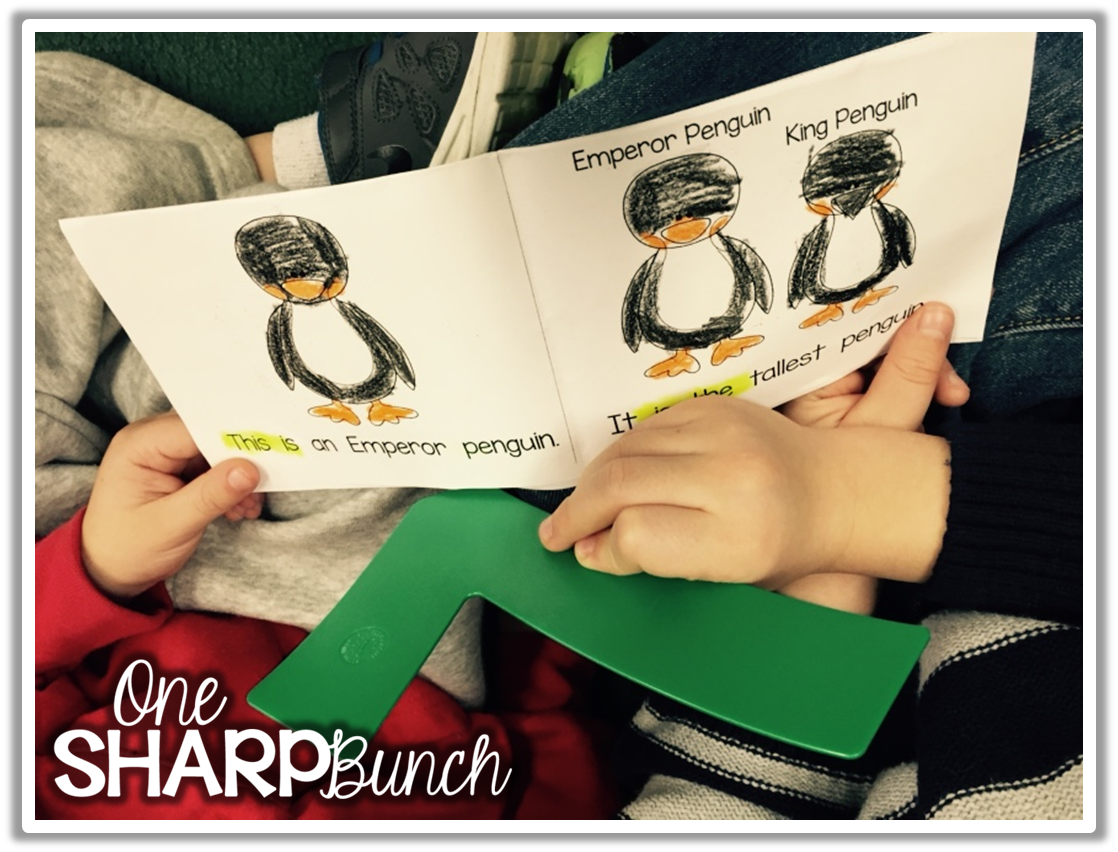 Guided Reading Organization One Sharp Bunch