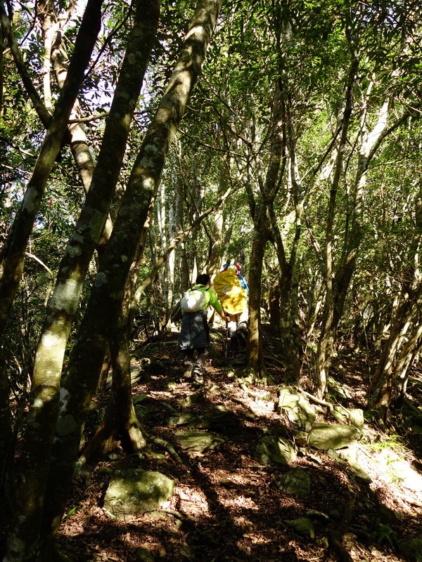 2014_0101-0105 萬山神石、萬山岩雕順訪萬頭蘭山_0270