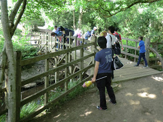 CIMG7324 Pooh Bridge, Ashdown Forest