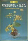 嵯峨御流いけばな―カラー独習