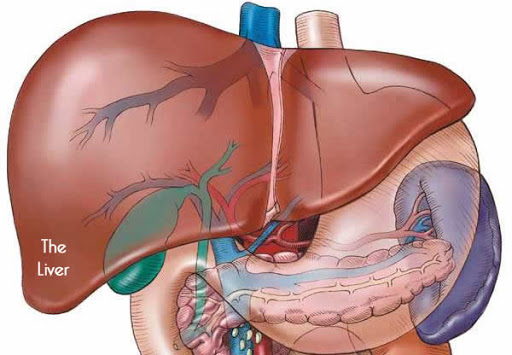 Dr Vikas Singla, Sir Ganga Ram Hospital Marg, Block 8, Rajender Nagar Part 1, New Rajinder Nagar, New Delhi, Delhi 110060, India, Endoscopist, state DL