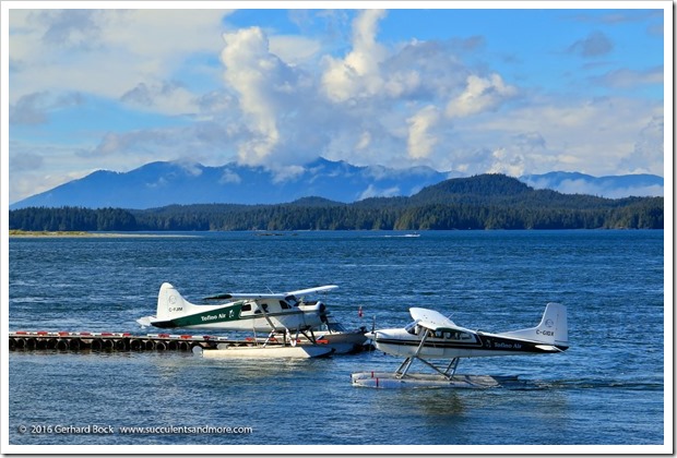 160902_Tofino_0032