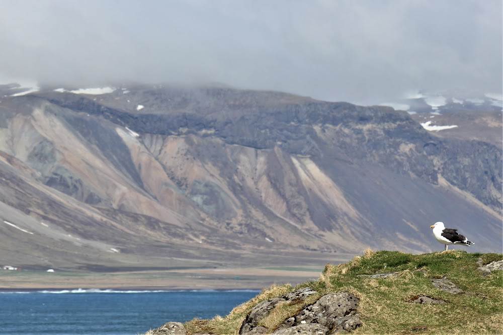 Islandia, un país que cautiva - Blogs de Islandia - 09/05/22. LA PENÍNSULA DE SNAEFELLSNES (9)
