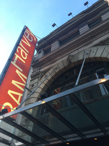 Performing Arts Theater «BAM Harvey Theater», reviews and photos, 651 Fulton St, Brooklyn, NY 11217, USA