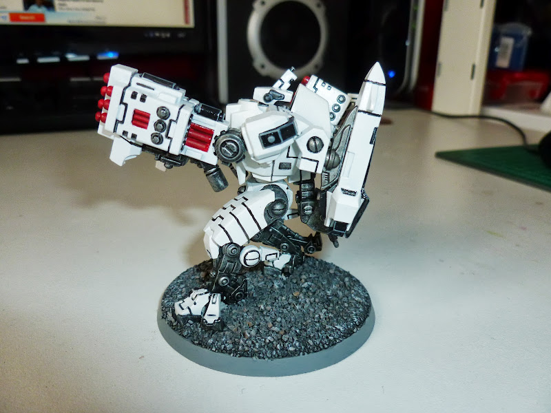 Tau Allies P1000923