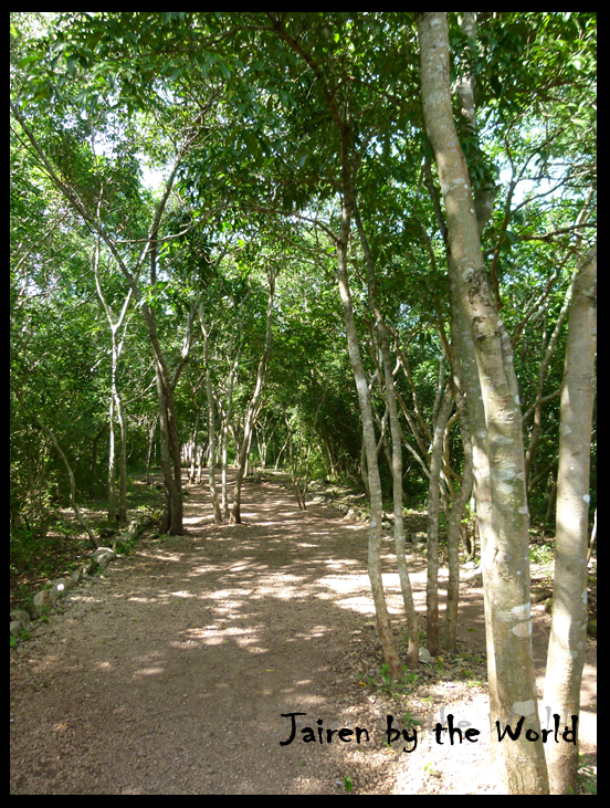 Viva México, cabrones!!! (Riviera Maya 2015) - Blogs de Mexico - Chichen Itza, cenote Ik Kil, Ek Balam y Valladolid (7)