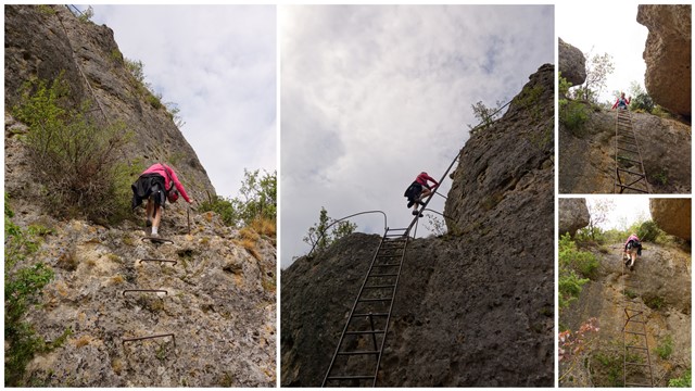 11. Las Gargantas del Tarn (Gorges du Tarn). - De viaje por Francia: diarios, viajes y excursiones en coche. (21)