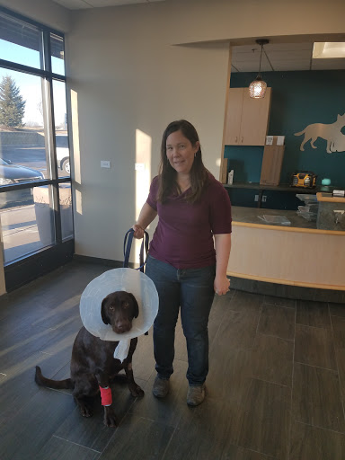 Veterinarian «Lakeville Family Pet Clinic», reviews and photos