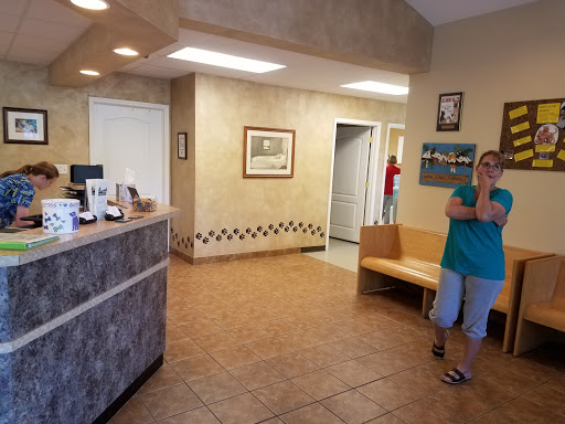 Veterinarian «Animal Clinic at Thorndale, p.c.», reviews and photos