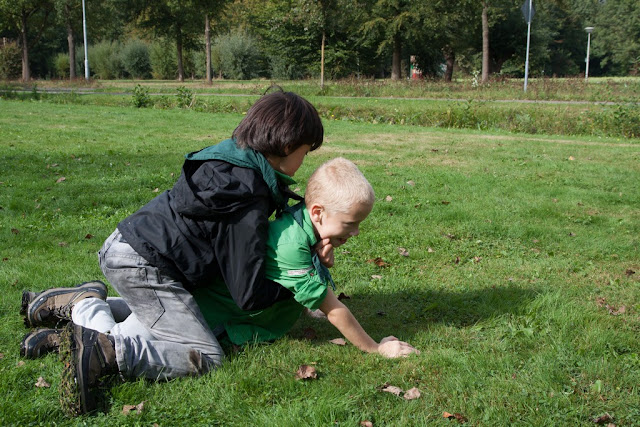 Verkenners_Hollandse_Leeuwen_2016_020.jpg