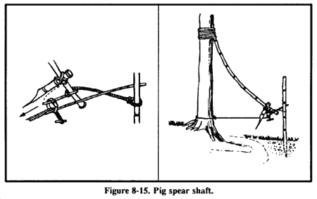 파일:attachment/생존주의/pig_spear_trap.gif