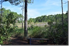 Bench by pond 2