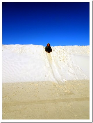 White Sands National Monument. 