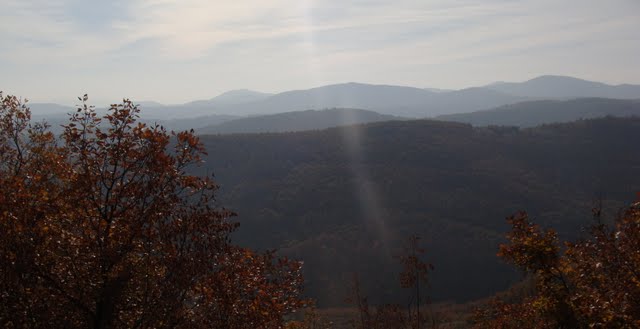 Гледката 