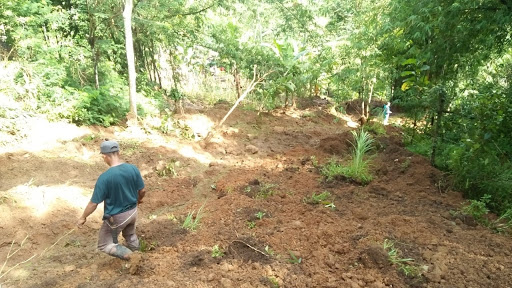 
Longsor di Nyalindung Sukabumi 37 Jiwa Terancam
