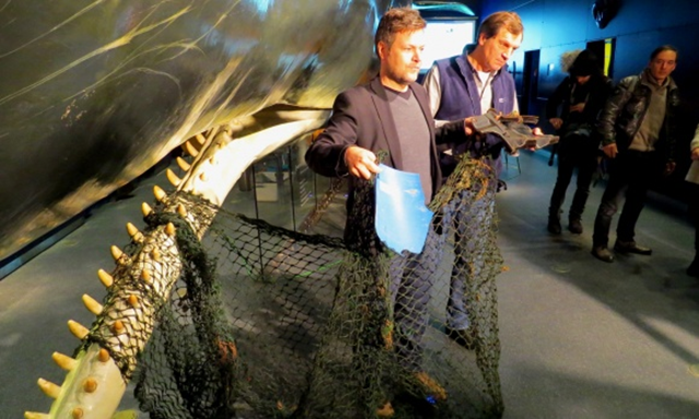 Environment Minister Robert Habeck (left) and Gerd Meurs-Scher show plastic parts which were found in the stomachs of sperm whales that stranded near the town of Toenning in Schleswig-Holstein, Germany. Photo: Claußen / LKN.SH