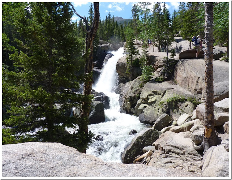 Alberta Falls RMNP CO