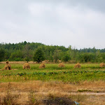 20140809_Fishing_Ostrivsk_066.jpg