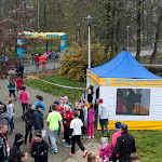 2014.11.09 Biegi Niepodległości - Ostrowiec Świętokrzyski
