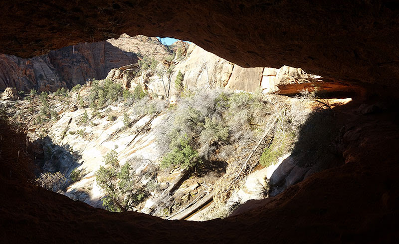 Southwest USA Road Trip Loop - Blogs de USA - Etapa 06: Zion NP (4)