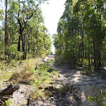 Great North Walk Track adjacent to Wakefield Road (357605)