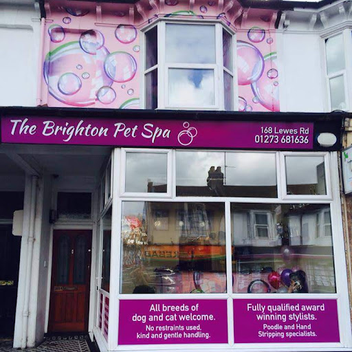 The Brighton Pet Spa logo