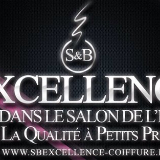 S&B EXCELLENCE COIFFURE logo