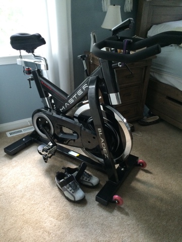 bladez fitness master gs indoor cycle