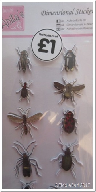 insect insect