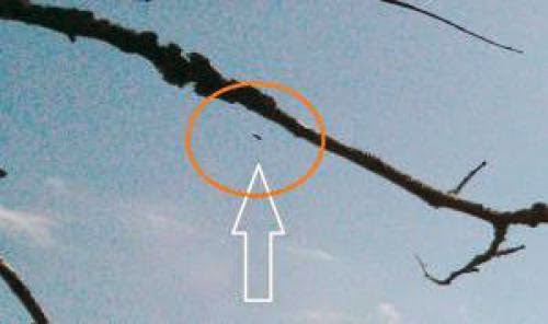 Cigar Shaped Alien Craft Spotted Over Boston And England