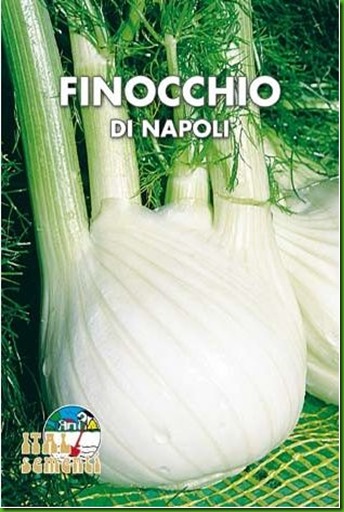 Finocchio-di-Napoli