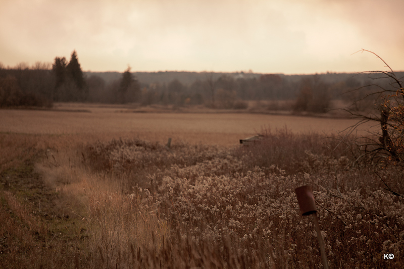 IMAGE: https://lh3.googleusercontent.com/-JmX5J7tLe4U/TryhM_KPxFI/AAAAAAAAYzY/S2SKWO2y0_U/s800/_MG_8244.JPG