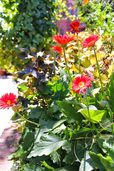 бостон сша: интересные места бостон сша, достоппримечательности бостон