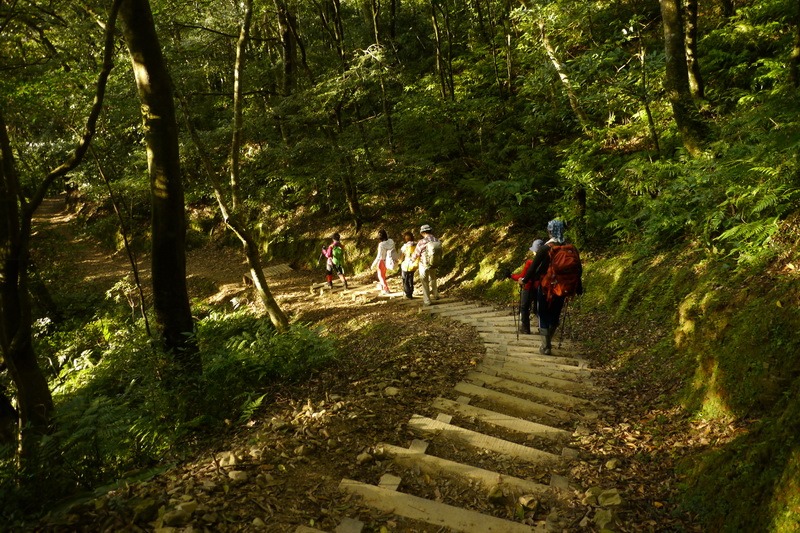 2013_1207 東滿步道→拉卡山→北插天山水源地_182