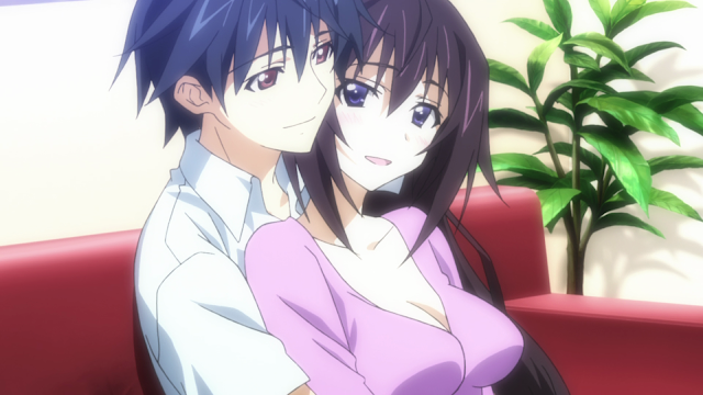 Who Will Ichika End Up With (Infinite Stratos)