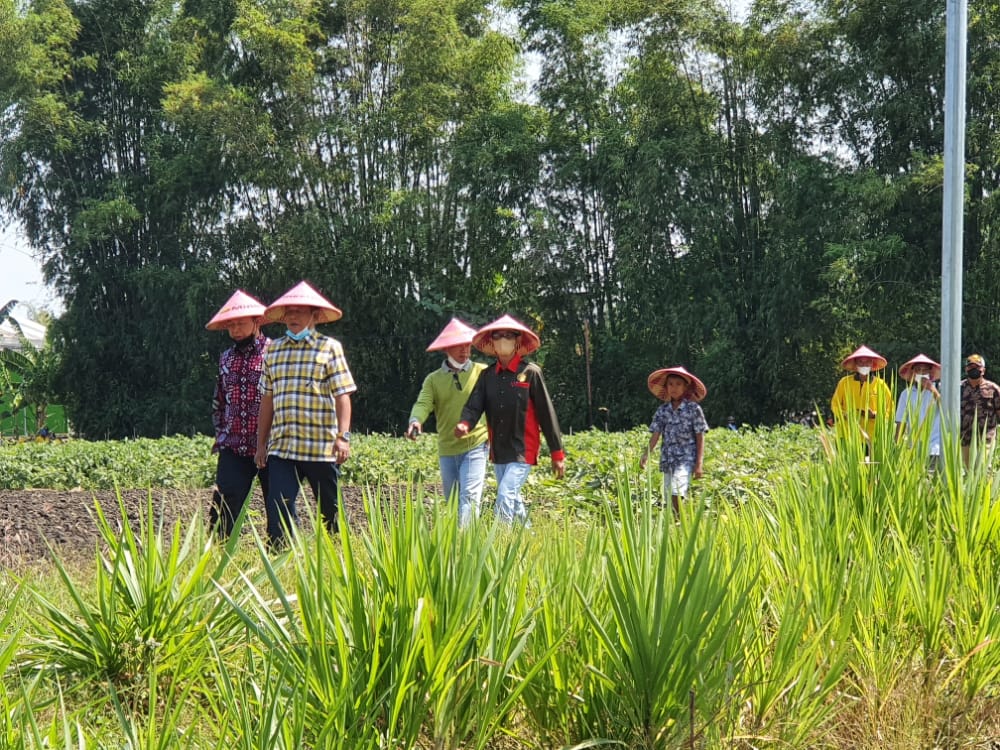 Berbagi Ilmu Pertanian di Nganjuk, Ini Harapan Bupati Soppeng