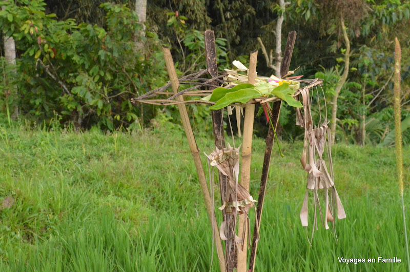 Jatiluwih - Rice temple